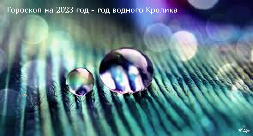 энергии кролика 2023 года
