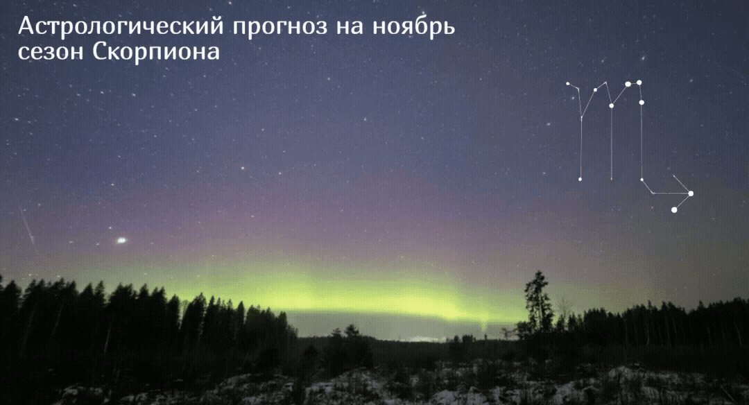 гороскоп ноябрь 2023