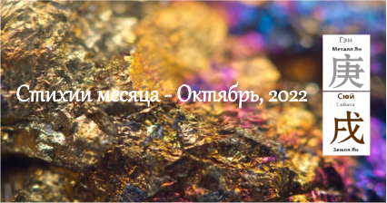 металл ян на собаке