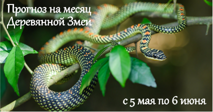 прогноз на месяц деревянной змеи